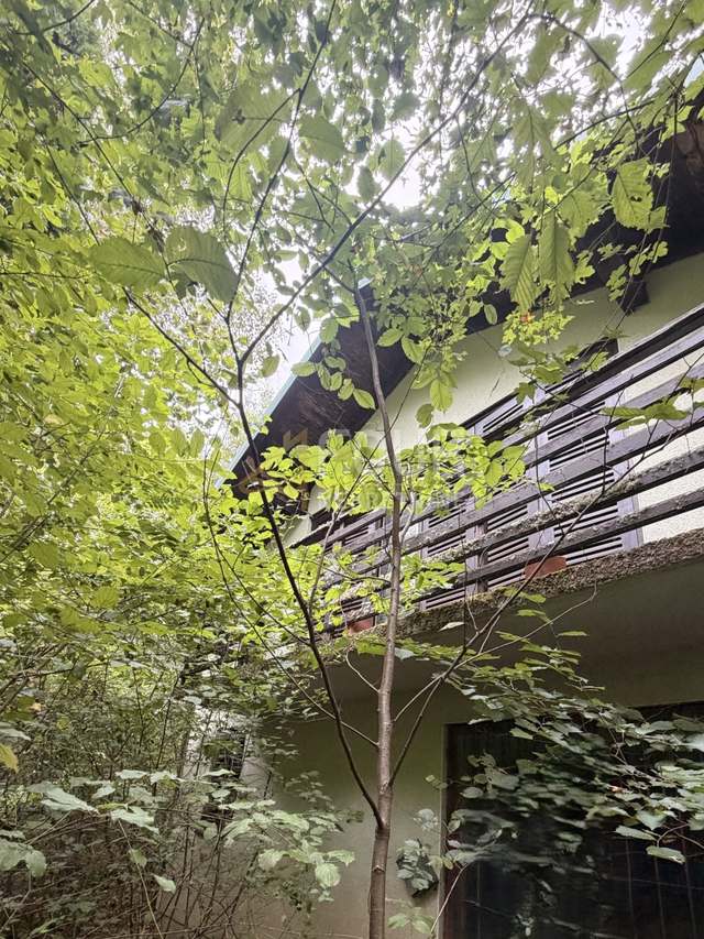 House u Orlama, 60m², slika 3