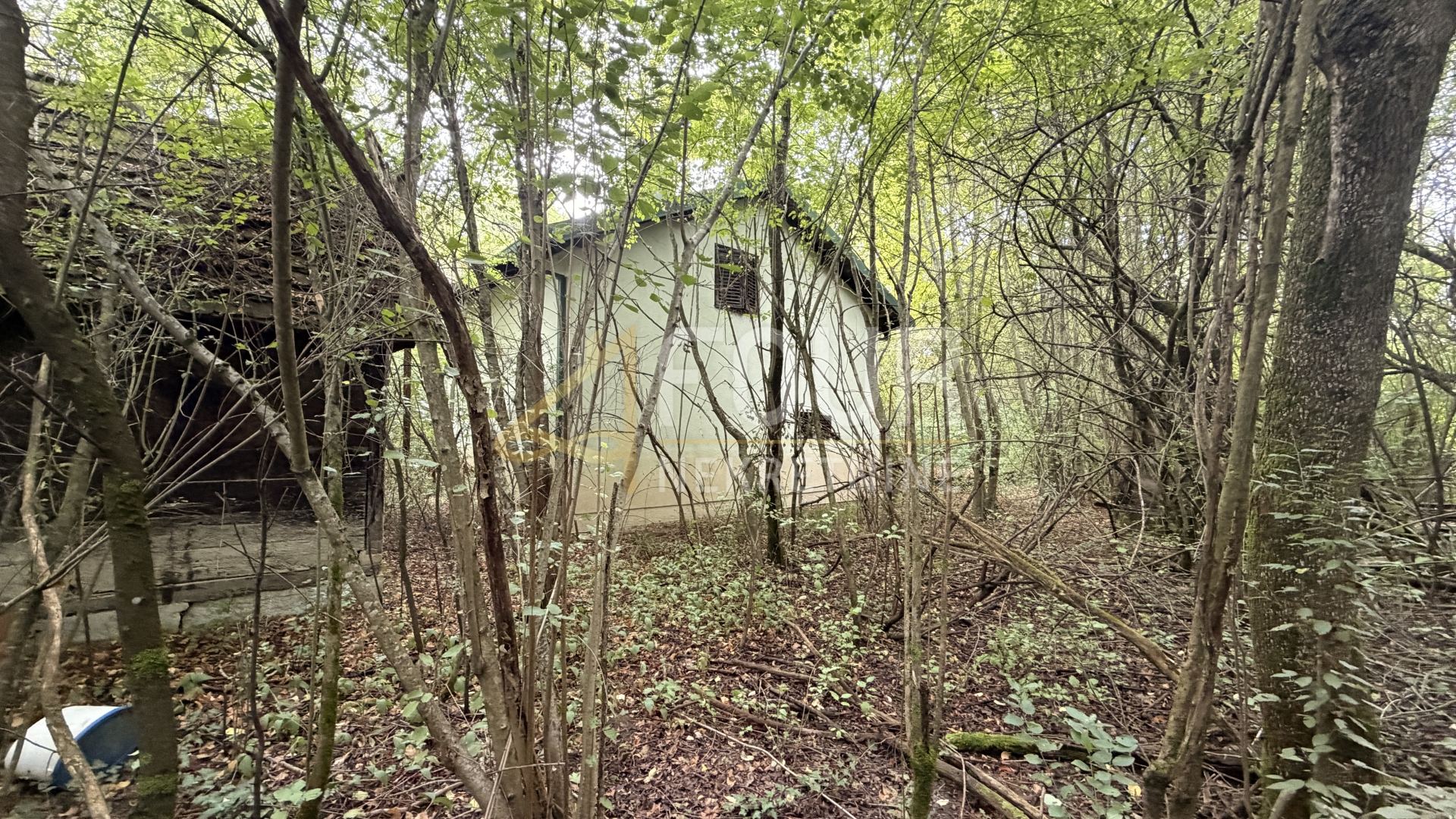 House u Orlama, 60m², slika 4
