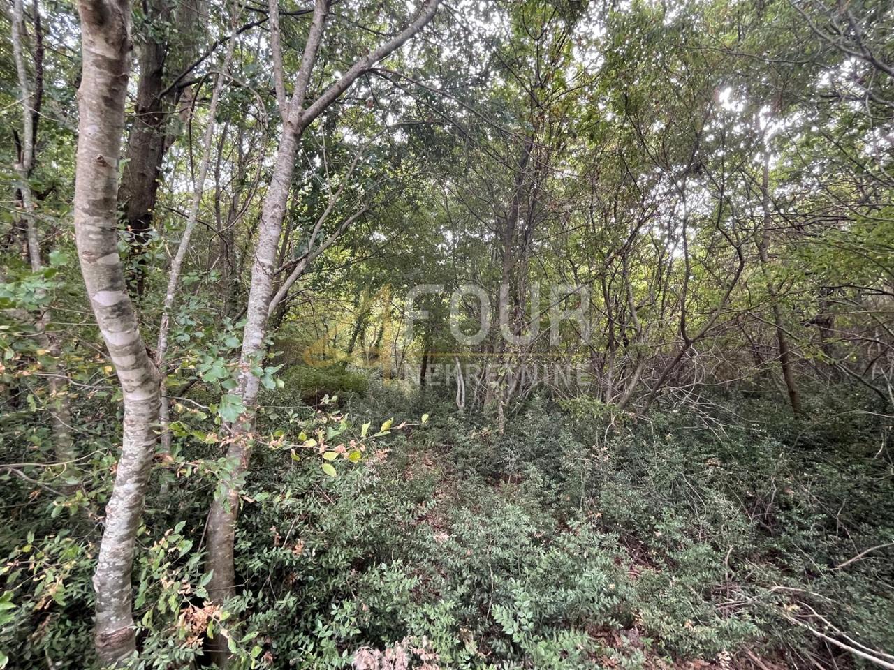 Terreno u Marčani, 12705m², slika 2