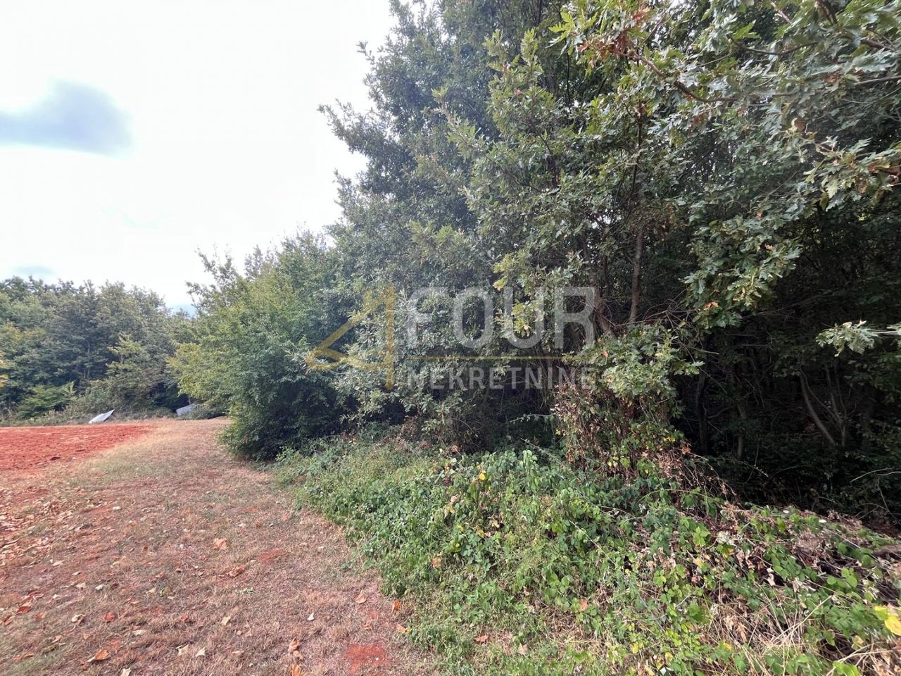 Terreno u Marčani, 12705m², slika 3