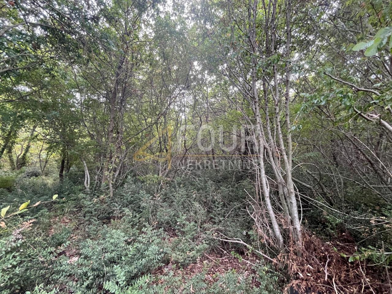 Terreno u Marčani, 12705m², slika 4