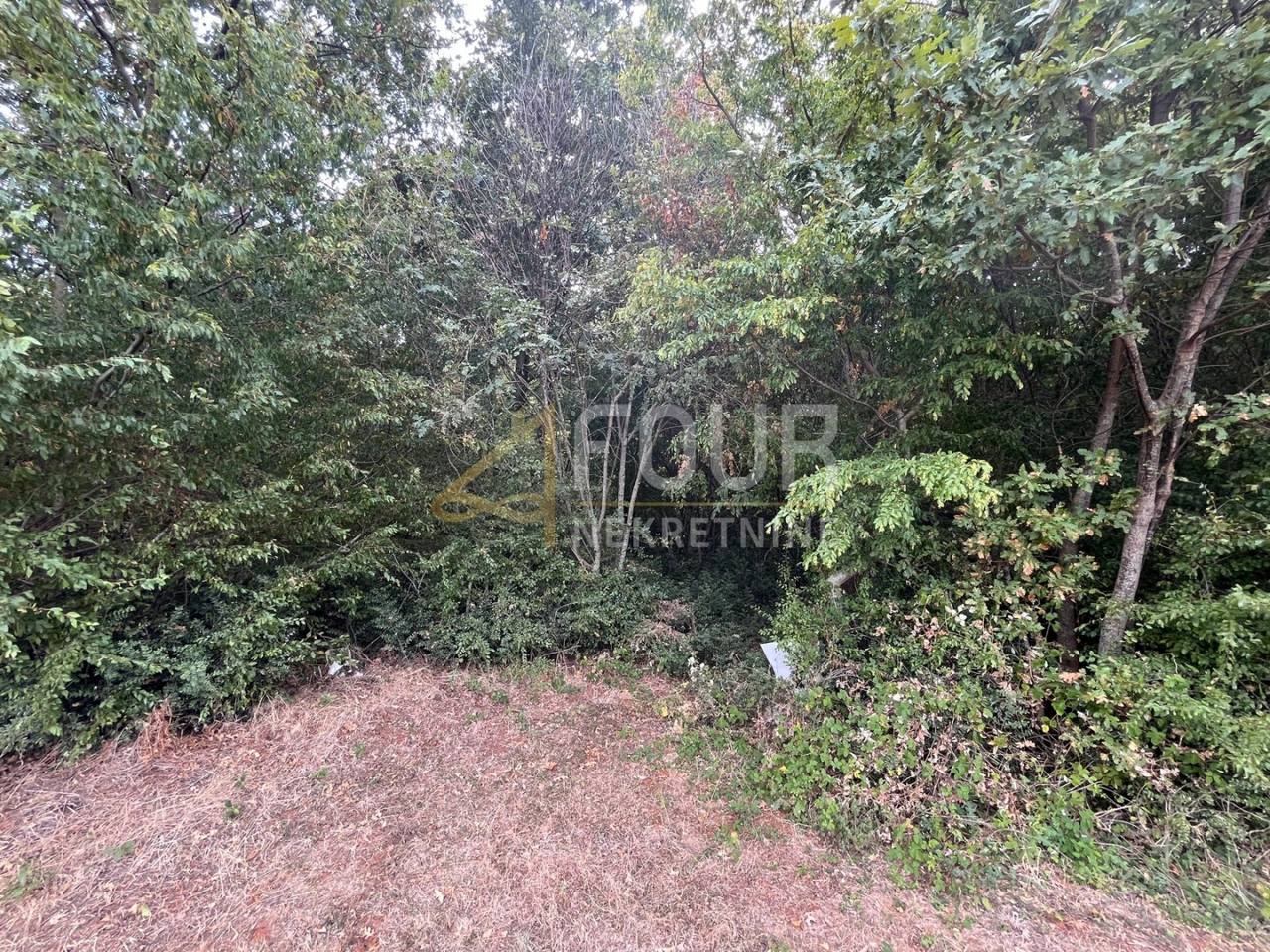 Terreno u Marčani, 12705m², slika 5