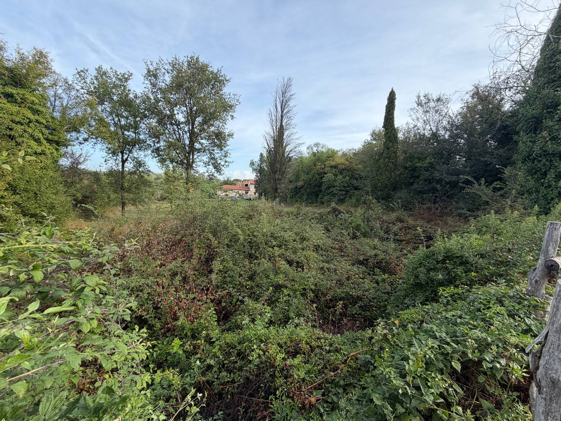 Land u Buju, 1000m², slika 2