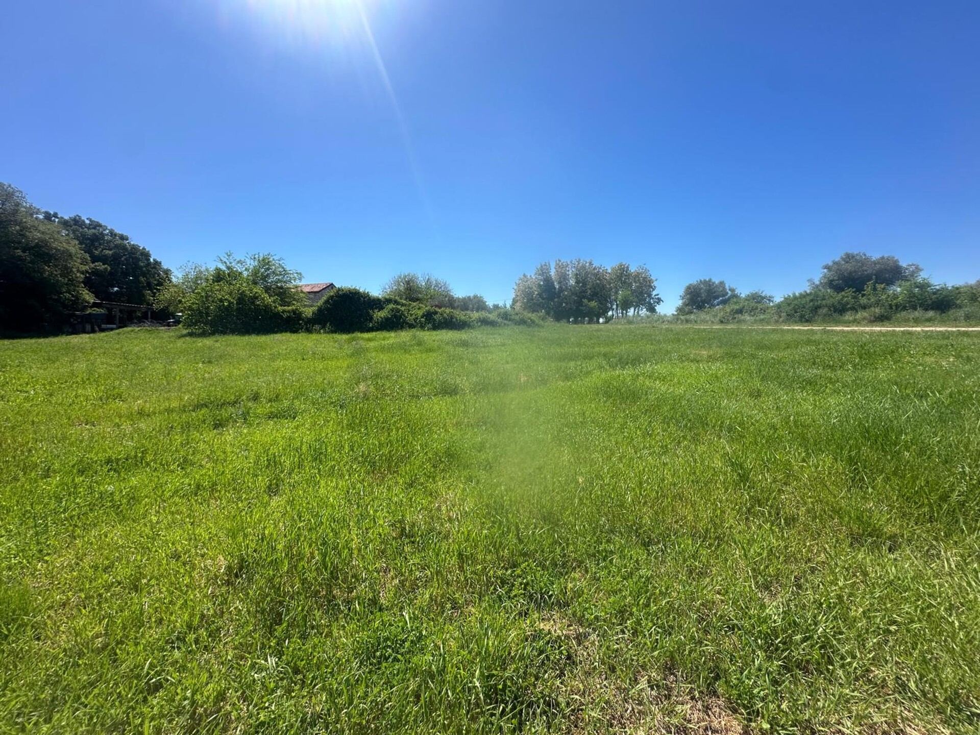 Land u Brtonigli, 755m², slika 2