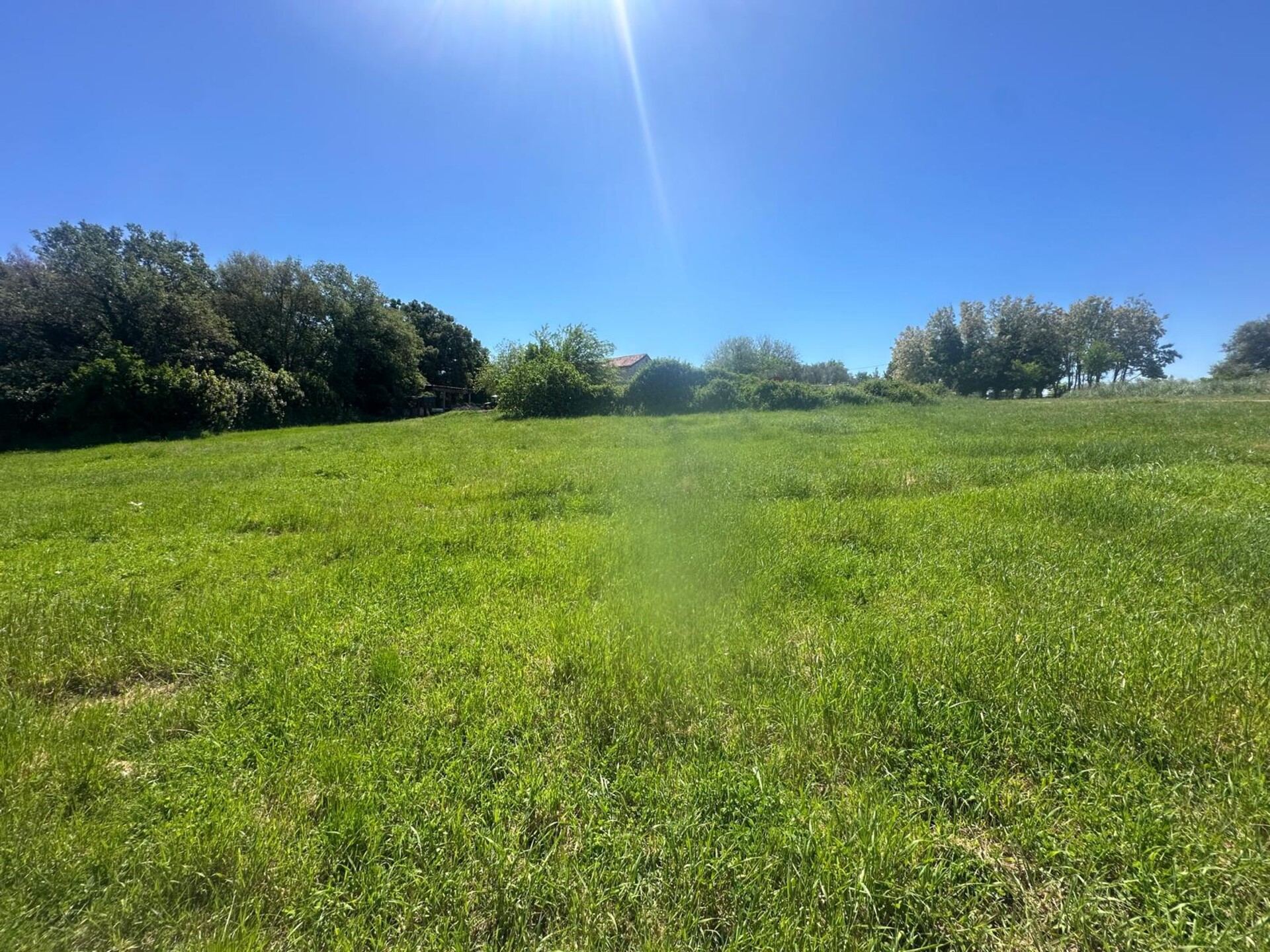 Land u Brtonigli, 755m², slika 4