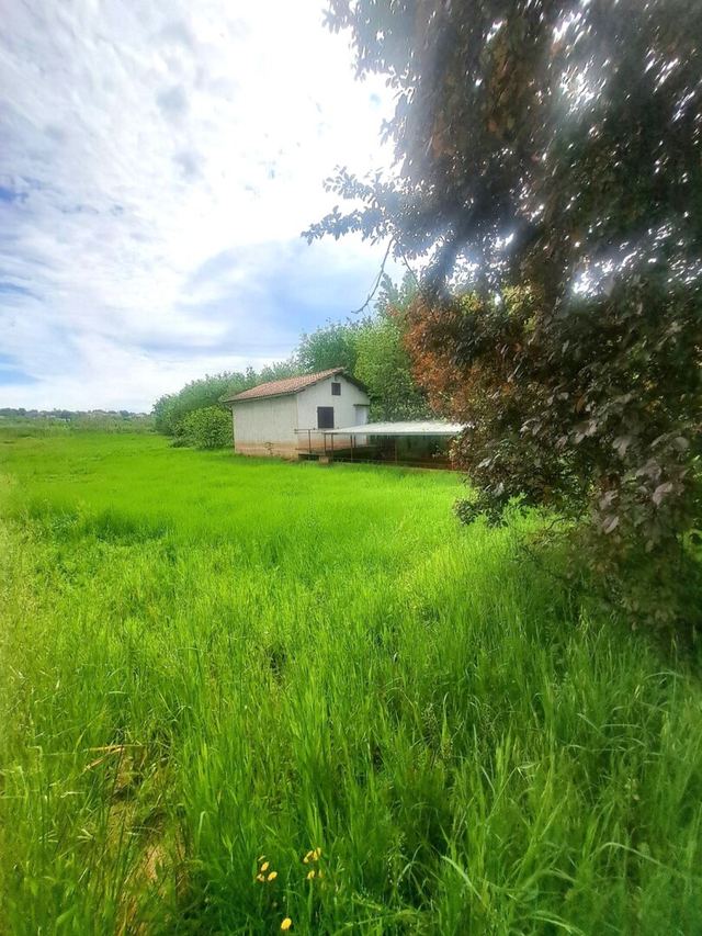 Terreno u Poreču, 1208m², slika 5