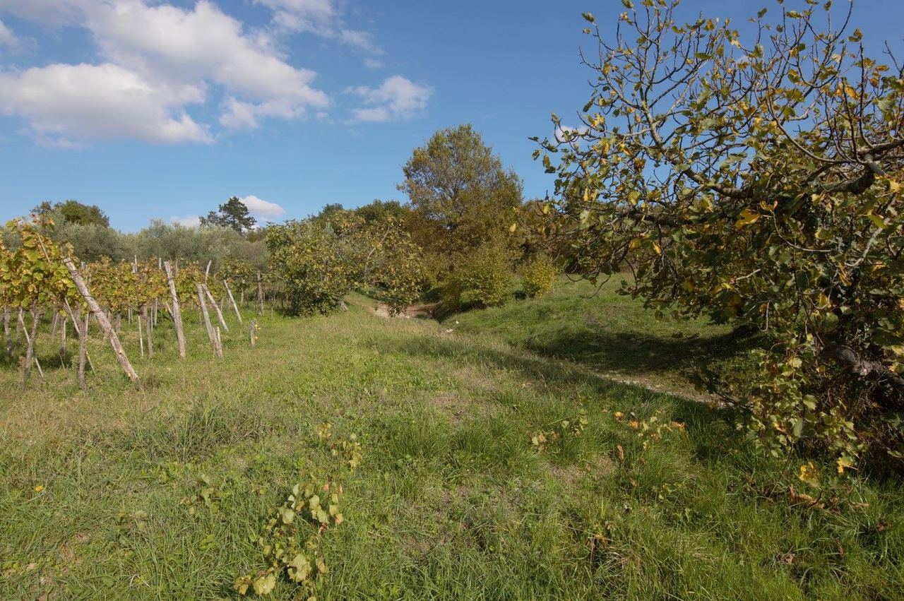 Zemljište u Buzetu, 2075m²
