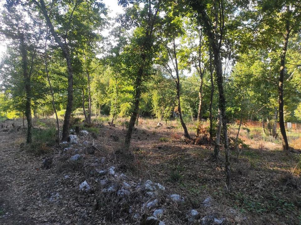 Zemljište u Višnjanu, 1696m², slika 5