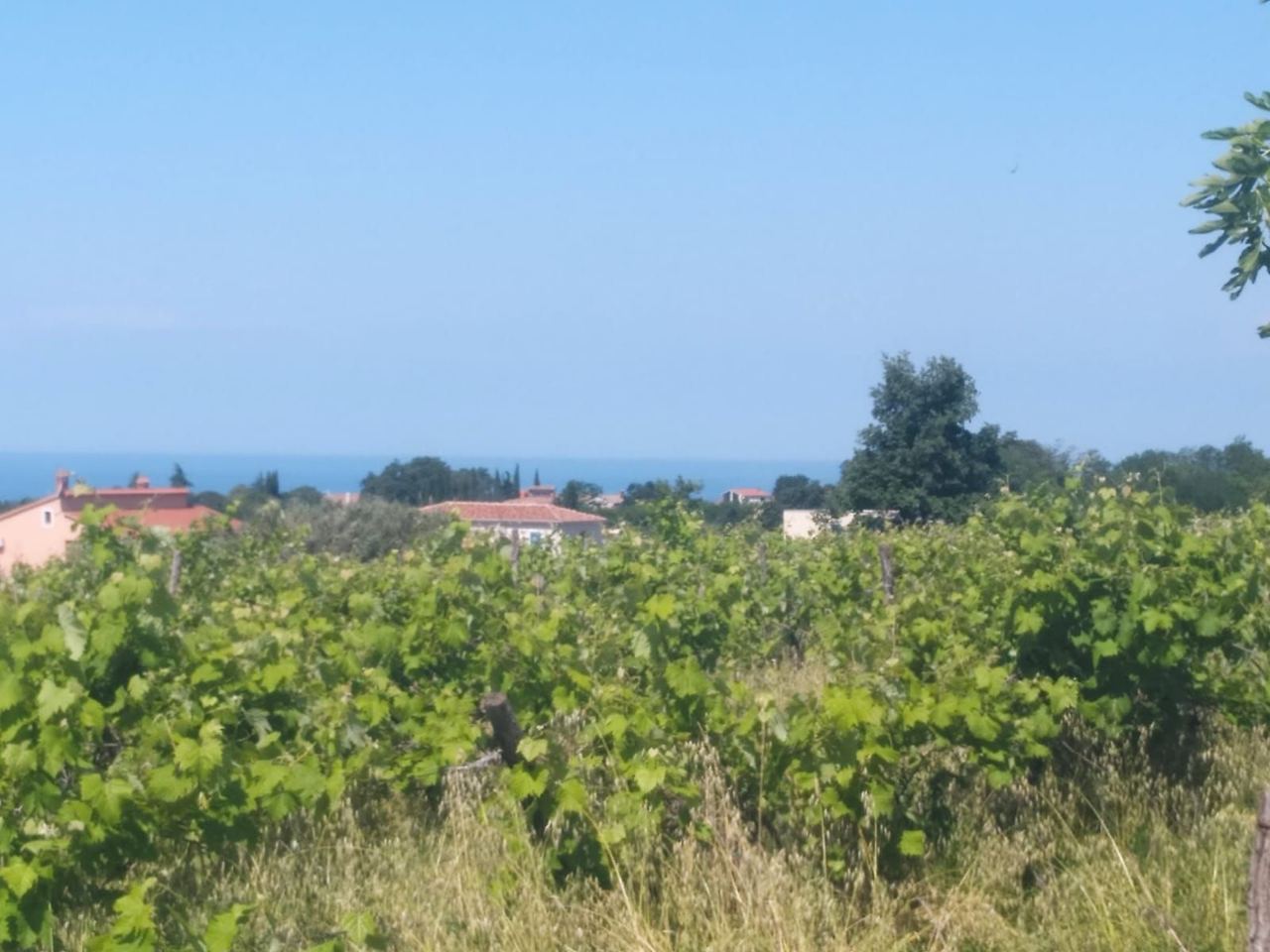 Terreno u Kaštelir-Labinciu, 1429m²