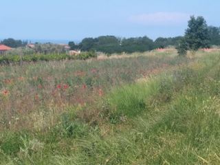 Land u Kaštelir-Labinciu, 1429m², slika 2