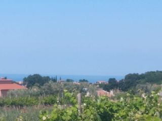 Land u Kaštelir-Labinciu, 1429m², slika 3