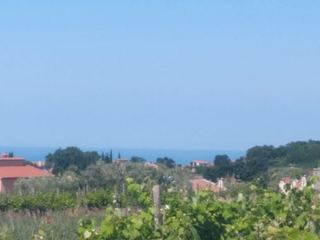 Land u Kaštelir-Labinciu, 1429m², slika 4