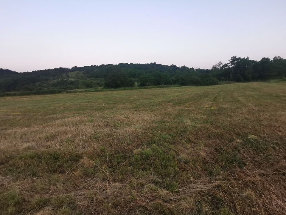 Land u Pazinu, 3536m², slika 3