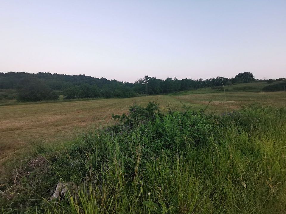 Land u Pazinu, 3536m², slika 5
