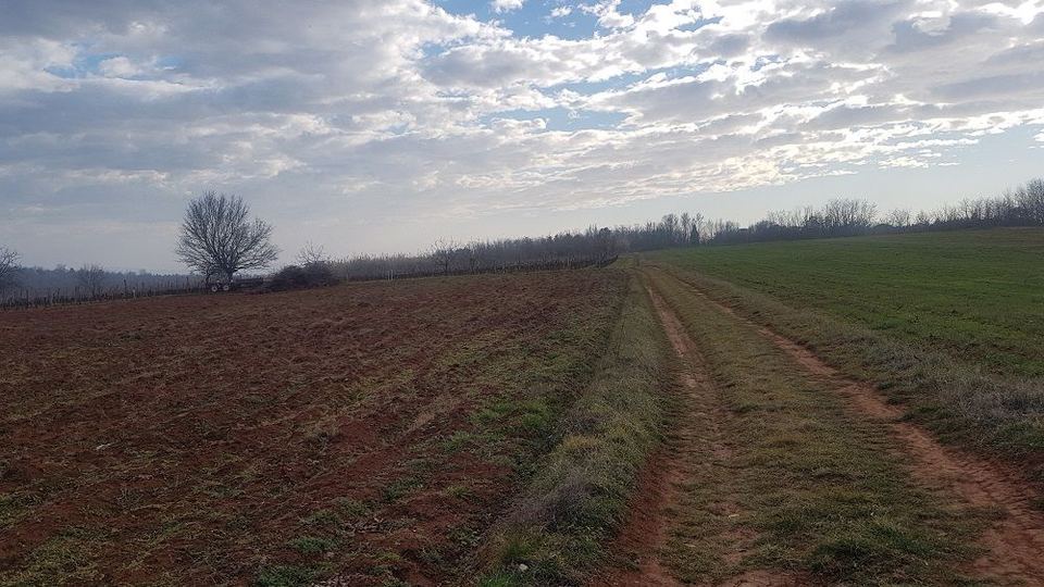 Grundstück u Kaštelir-Labinciu, 6822m²