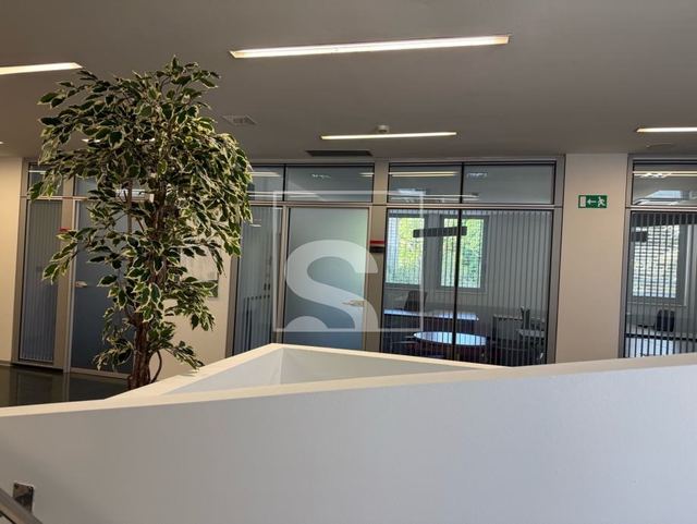 Gewerbefläche u Puli, 850m², slika 2
