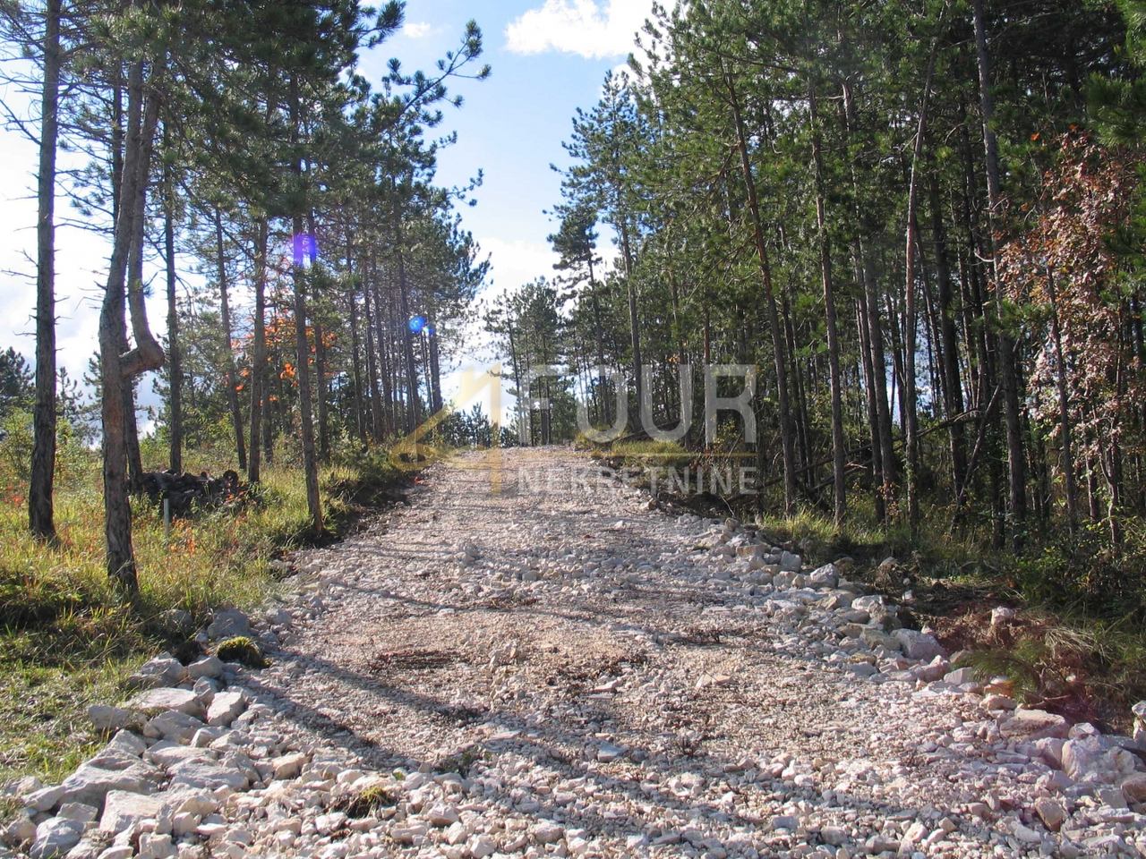 Grundstück u Pazinu, 39091m²