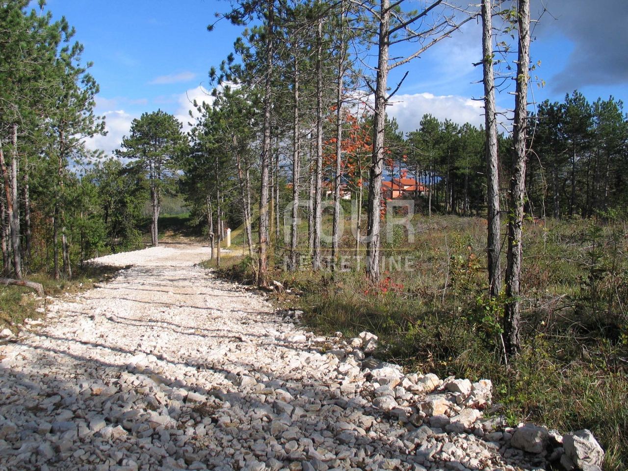 Terreno u Pazinu, 39091m², slika 2