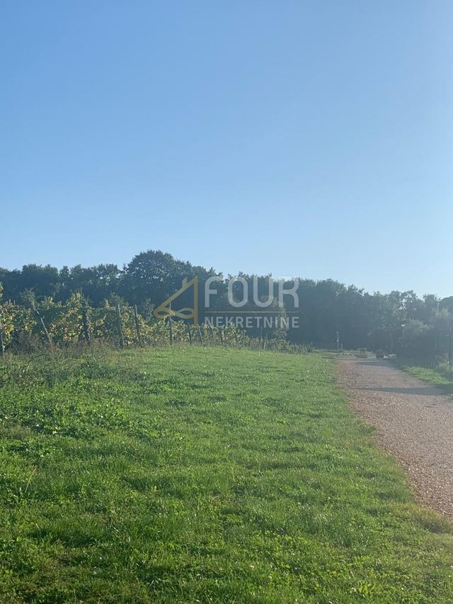 Terreno u Pazinu, 45000m²