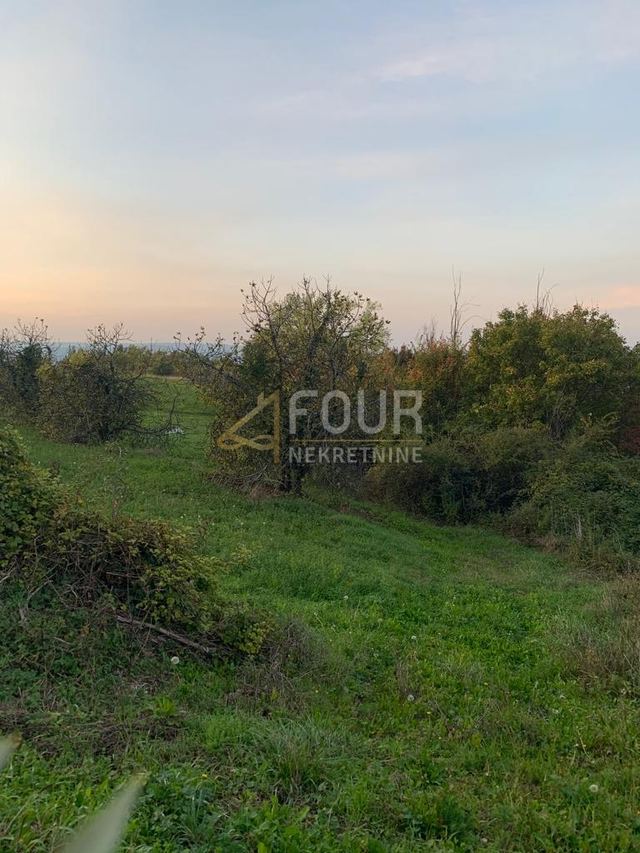 Land u Pazinu, 45000m², slika 3