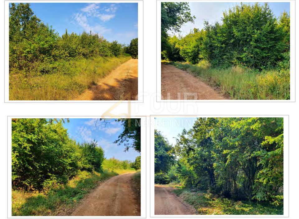 Land u Kaštelir-Labinciu, 13182m²
