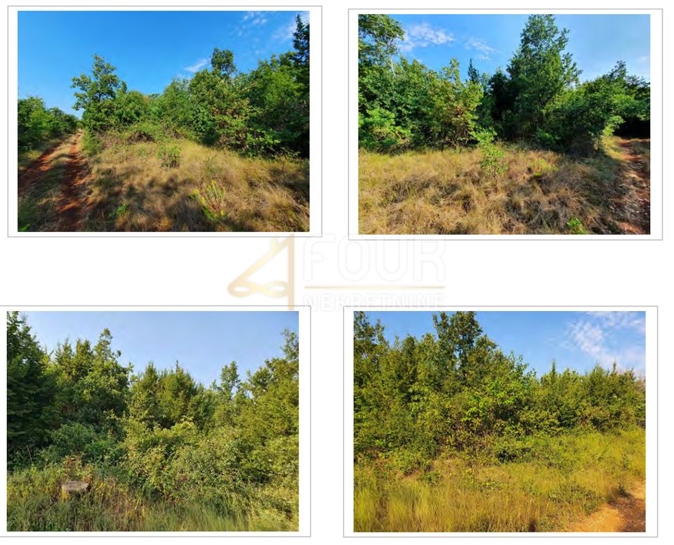 Land u Kaštelir-Labinciu, 13182m², slika 3