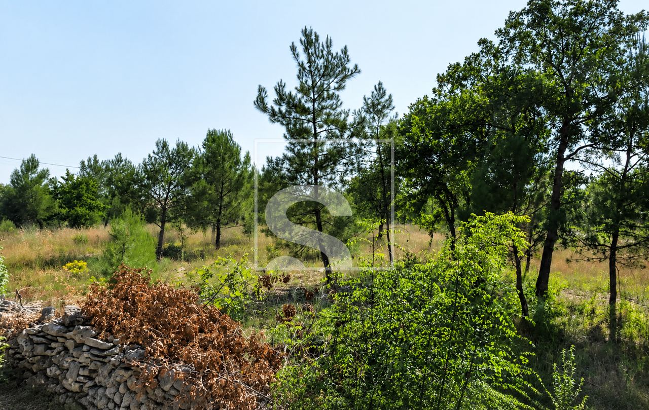 Land u Marčani, 1000m², slika 2