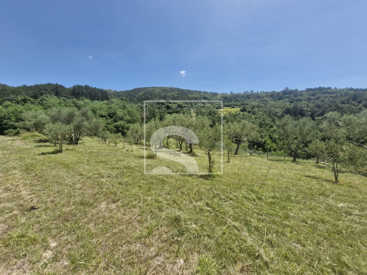 Zemljište u Cerovlju, 2529m²