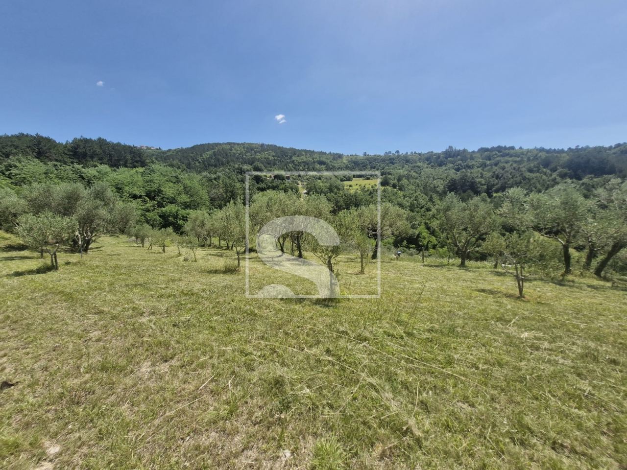 Terreno u Cerovlju, 2529m², slika 2