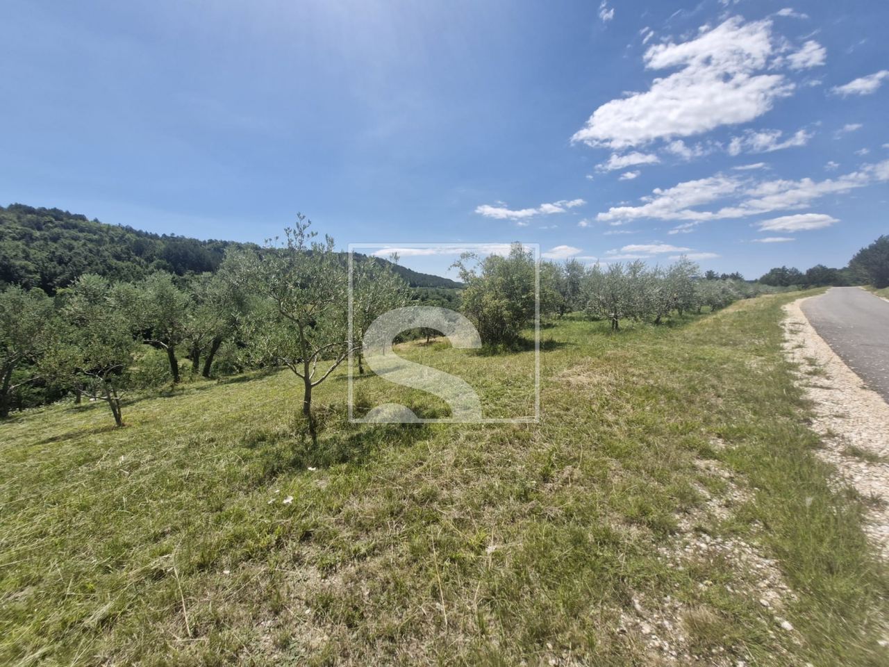 Terreno u Cerovlju, 2529m², slika 4