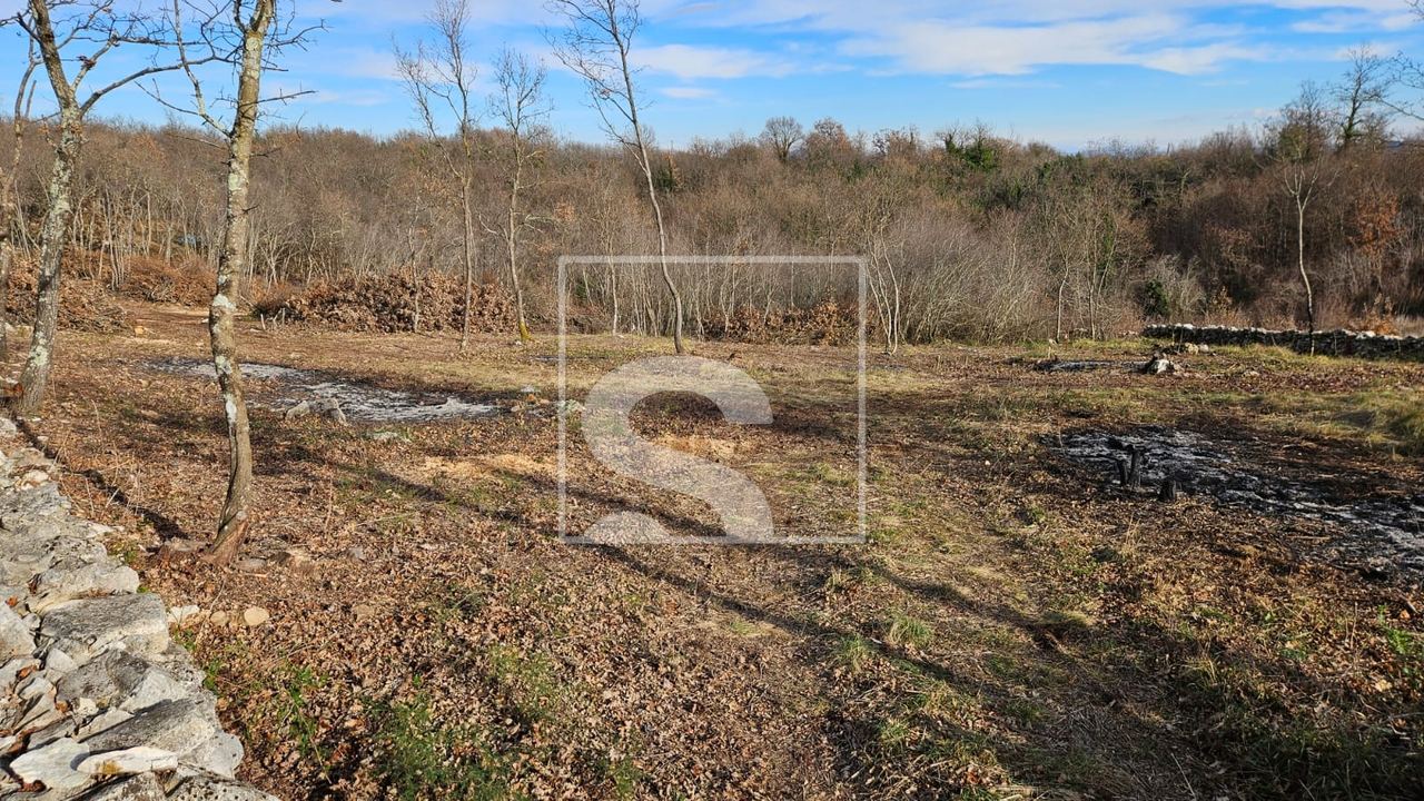 Terreno u Barbanu, 3445m², slika 2