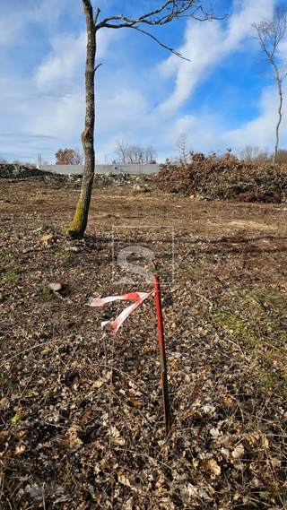 Terreno u Barbanu, 3445m², slika 4