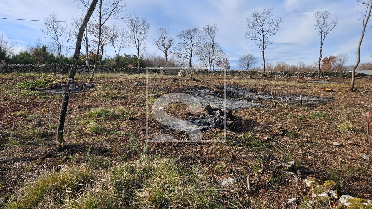 Terreno u Barbanu, 3445m², slika 5