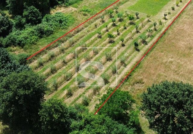 Land u Marčani, 2050m²