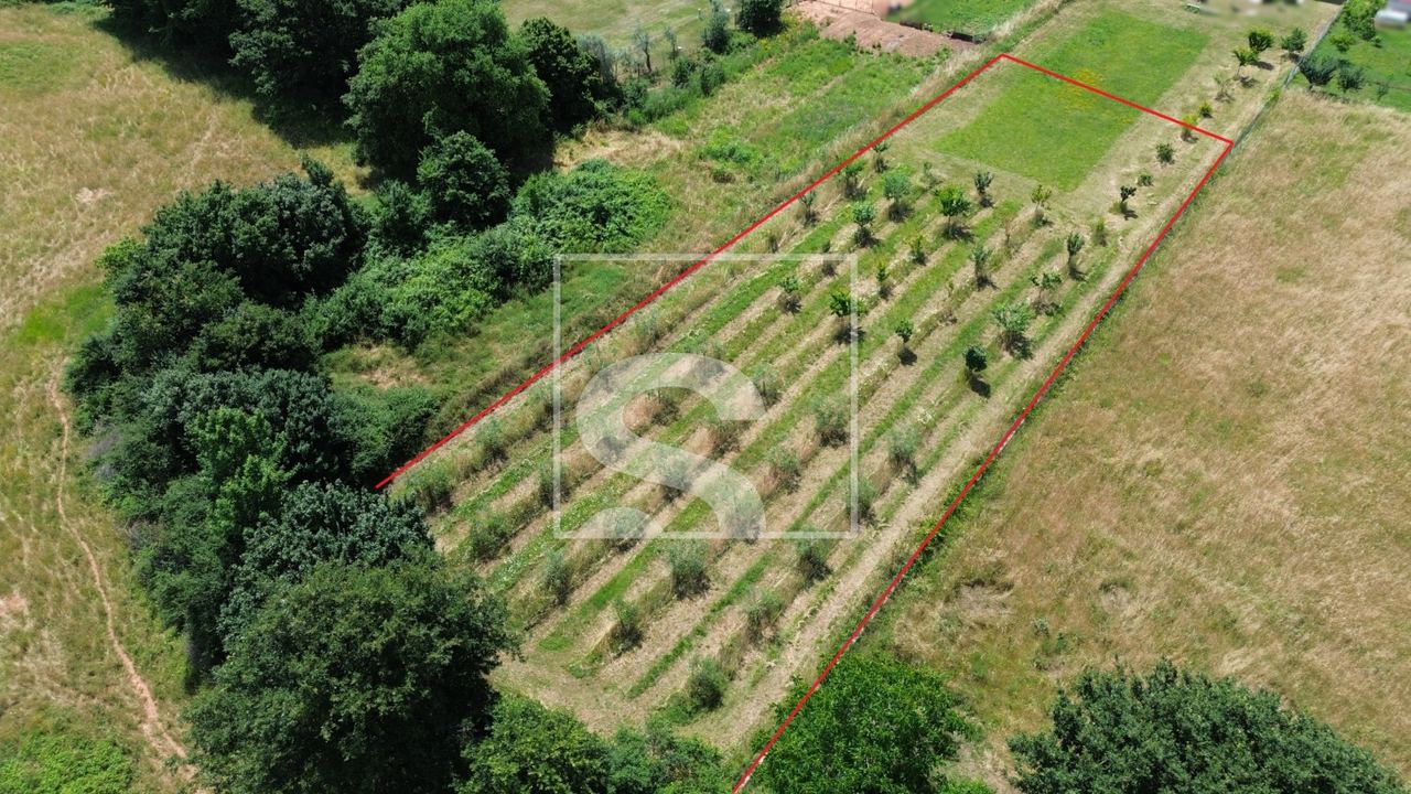 Zemljište u Marčani, 2050m², slika 3