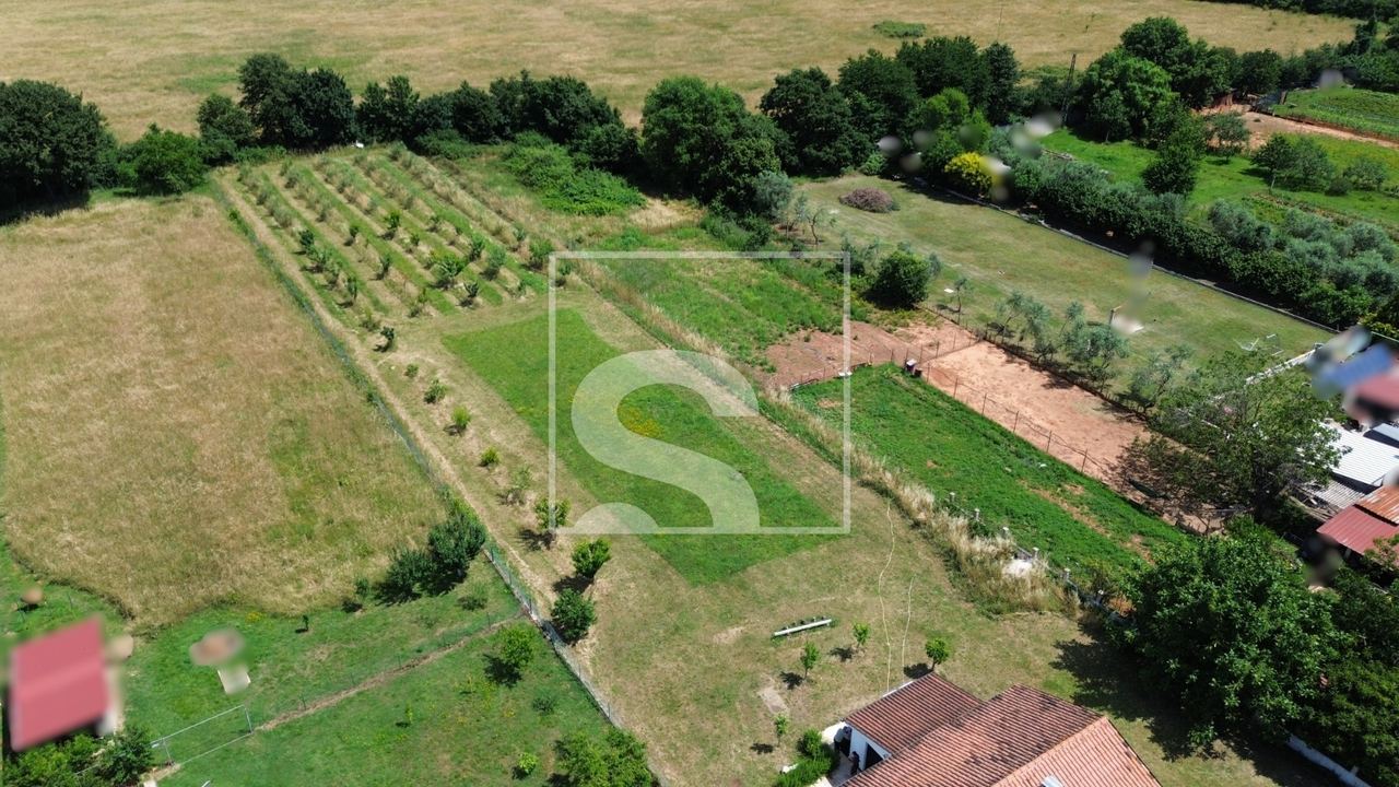Zemljište u Marčani, 2050m², slika 4
