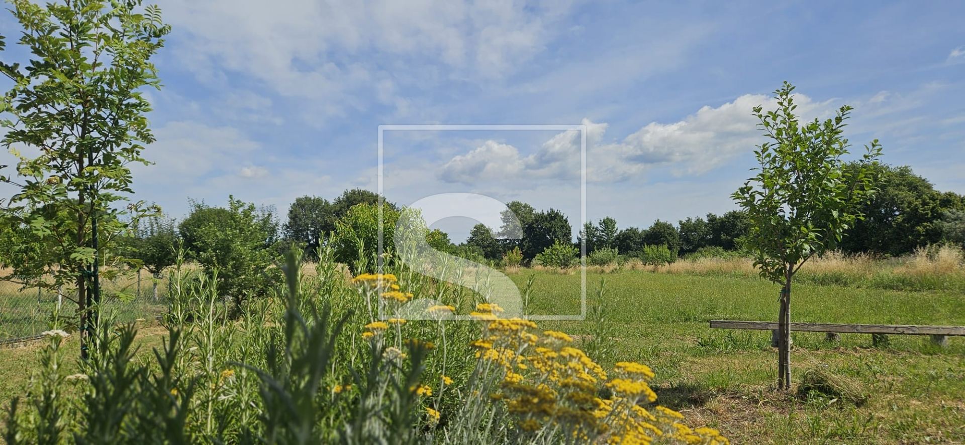 Terreno u Marčani, 546m², slika 3