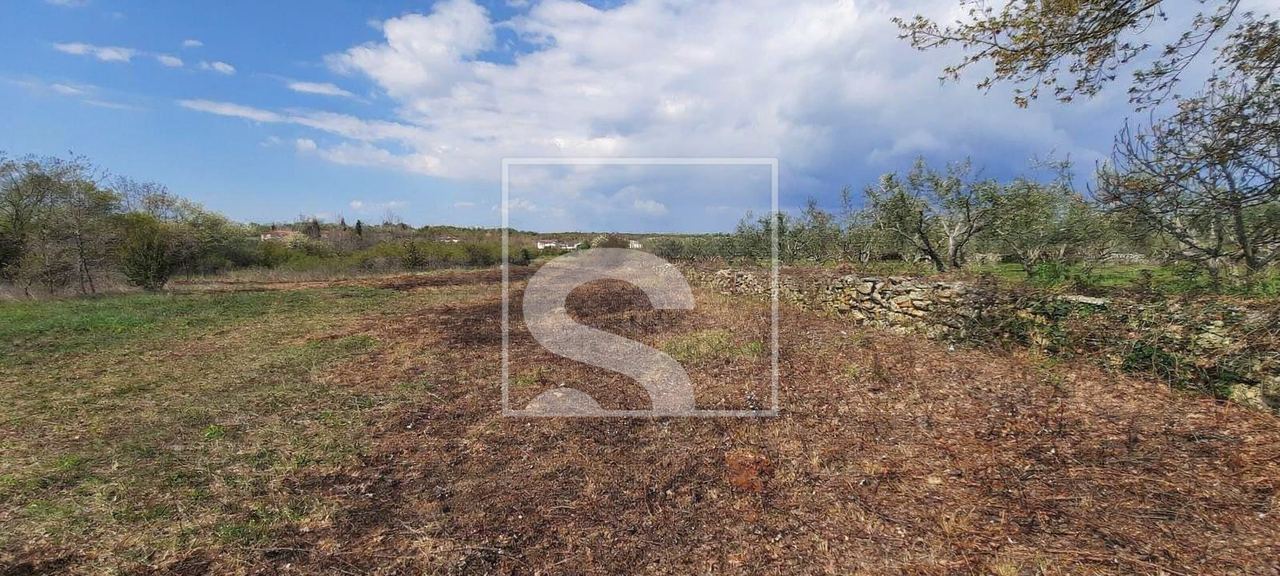 Grundstück u Vodnjanu, 5053m², slika 4