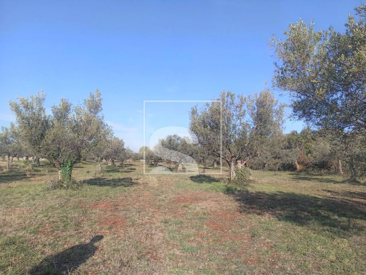 Grundstück u Fažani, 1017m²