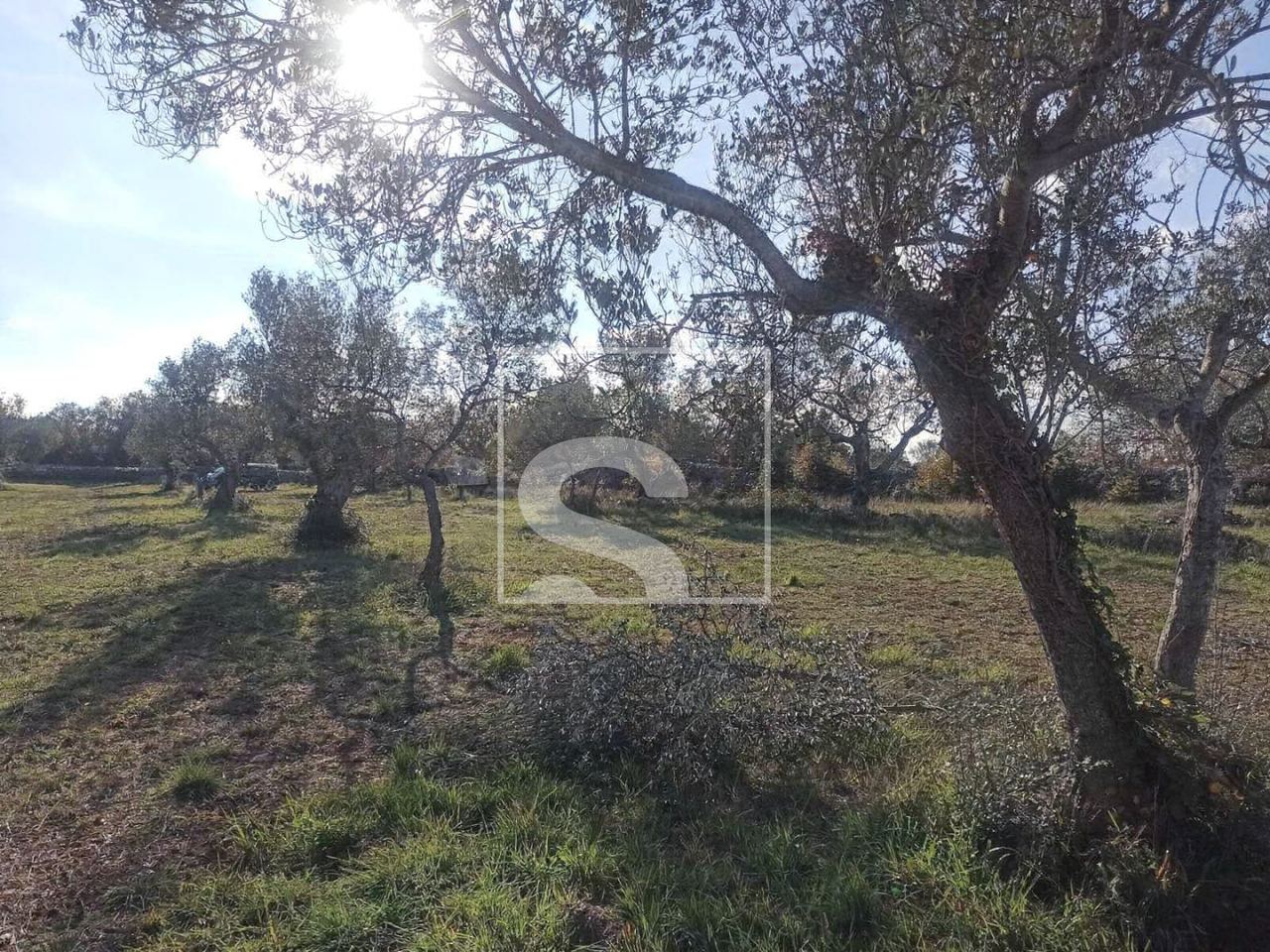 Grundstück u Fažani, 1017m², slika 3