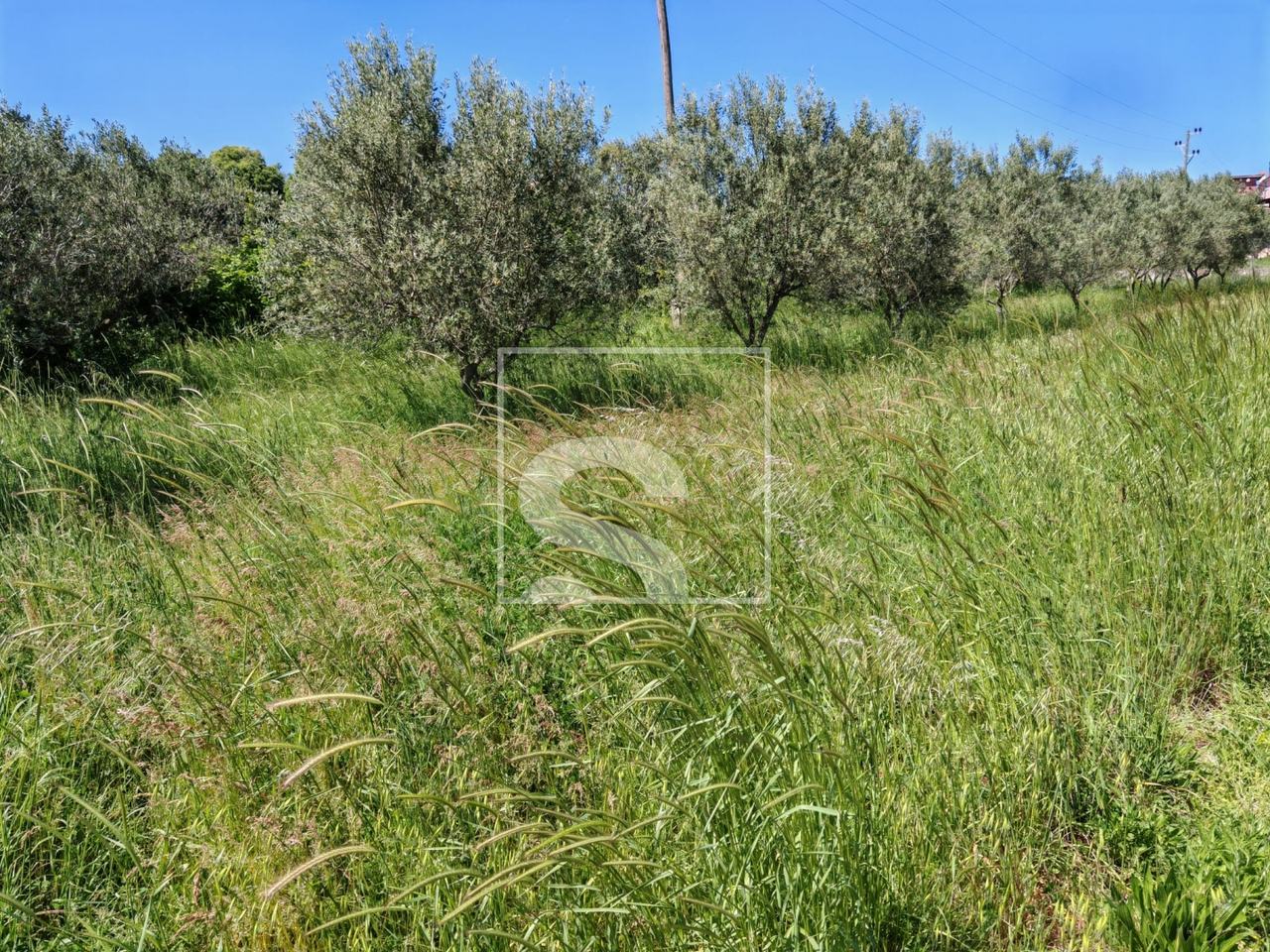 Zemljište u Ližnjanu, 577m², slika 2