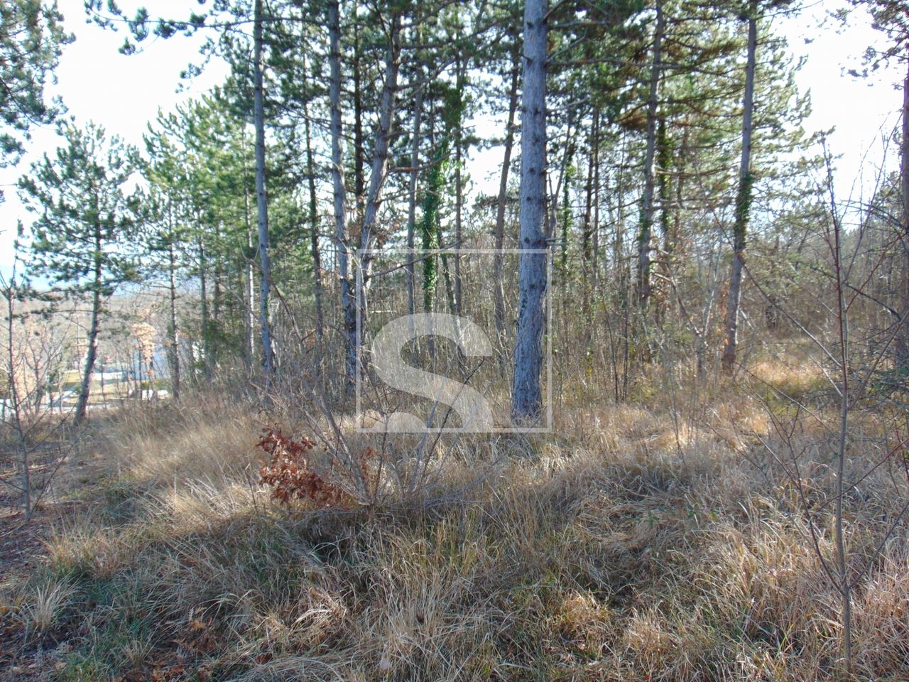 Zemljište u Pićanu, 21359m²
