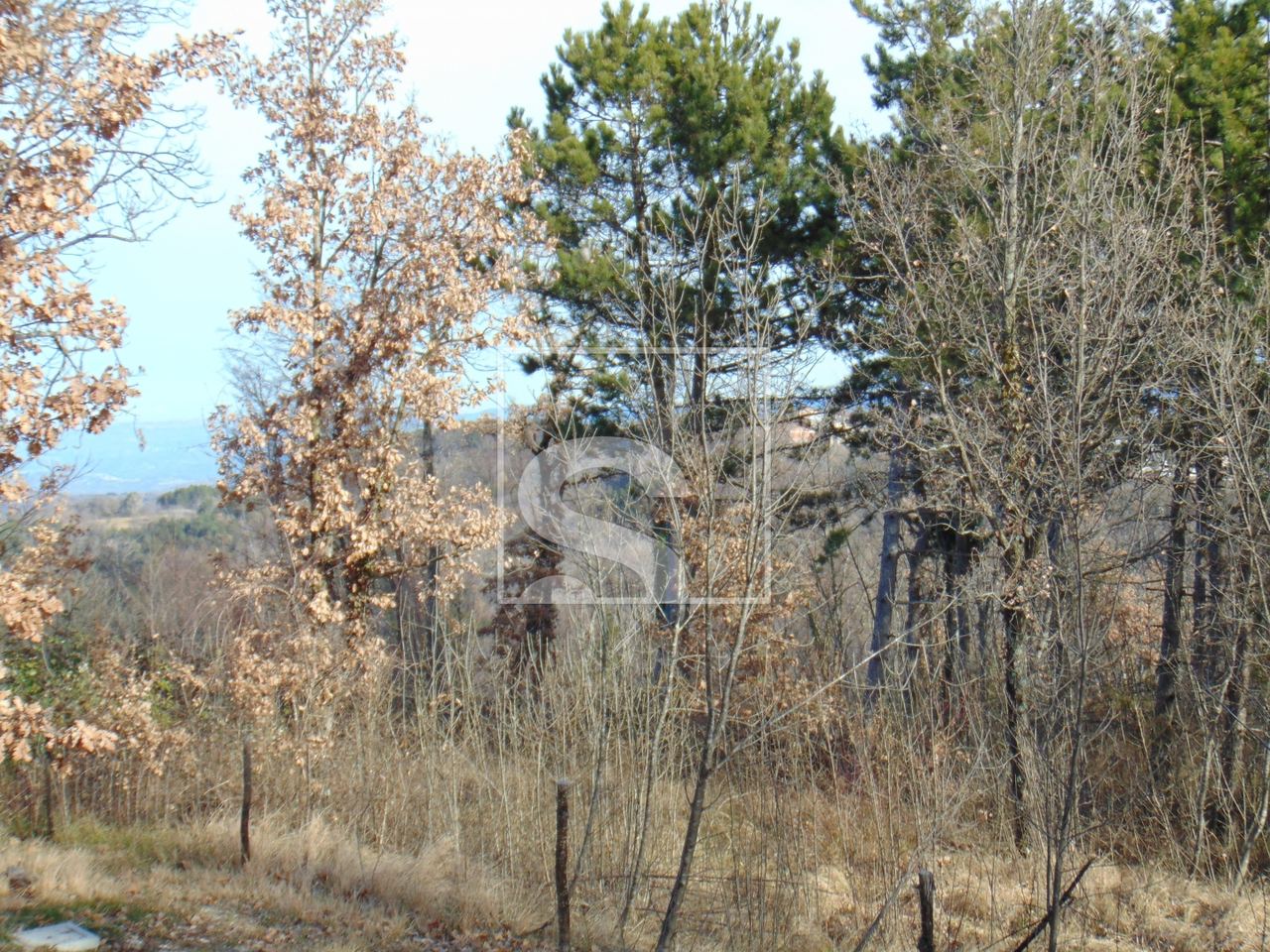 Zemljište u Pićanu, 21359m², slika 2