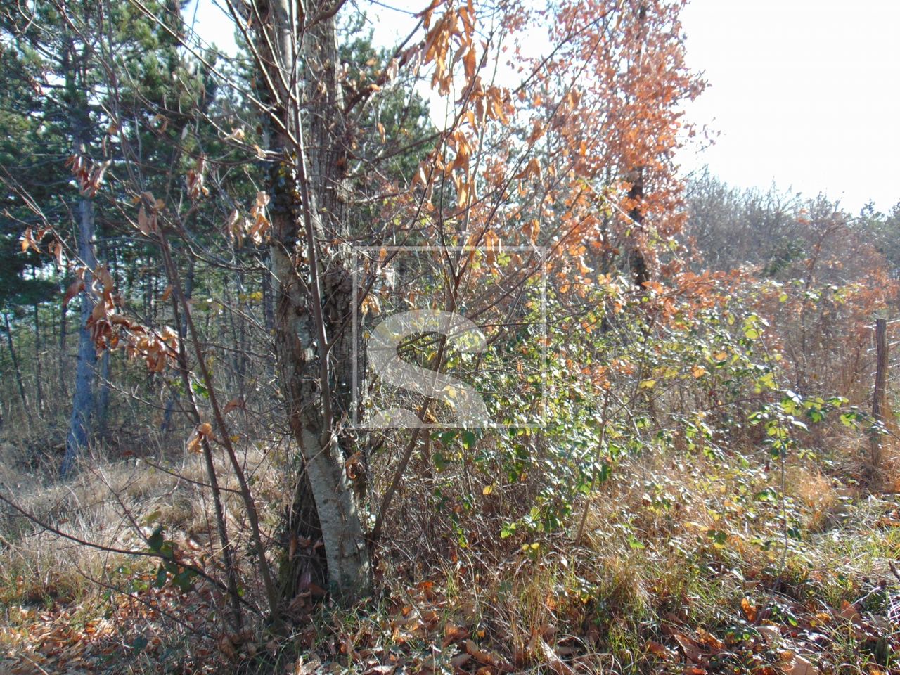 Zemljište u Pićanu, 21359m², slika 3