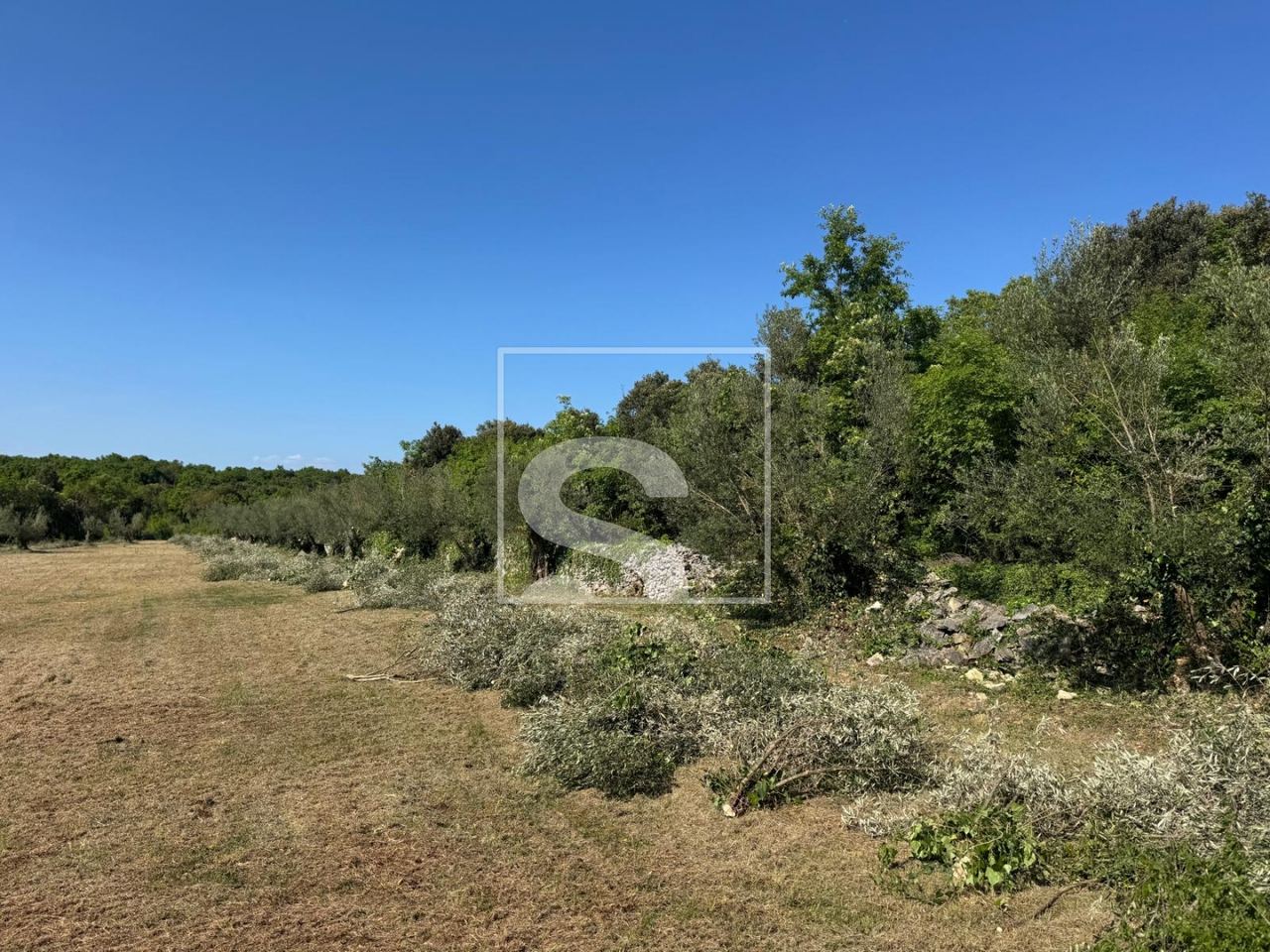 Terreno u Marčani, 5028m², slika 2