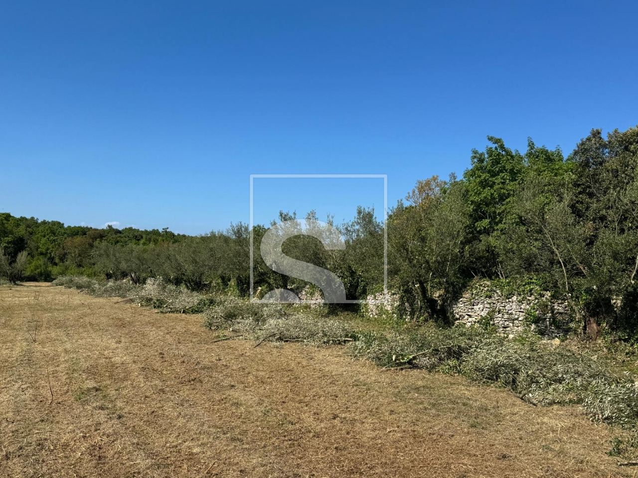 Terreno u Marčani, 5028m², slika 3