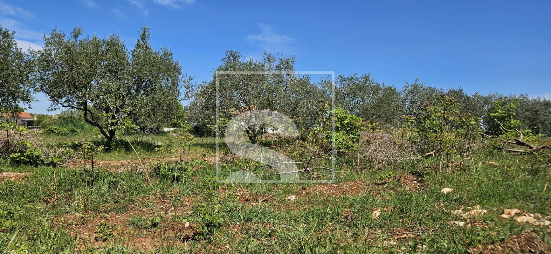 Zemljište u Vodnjanu, 705m², slika 5