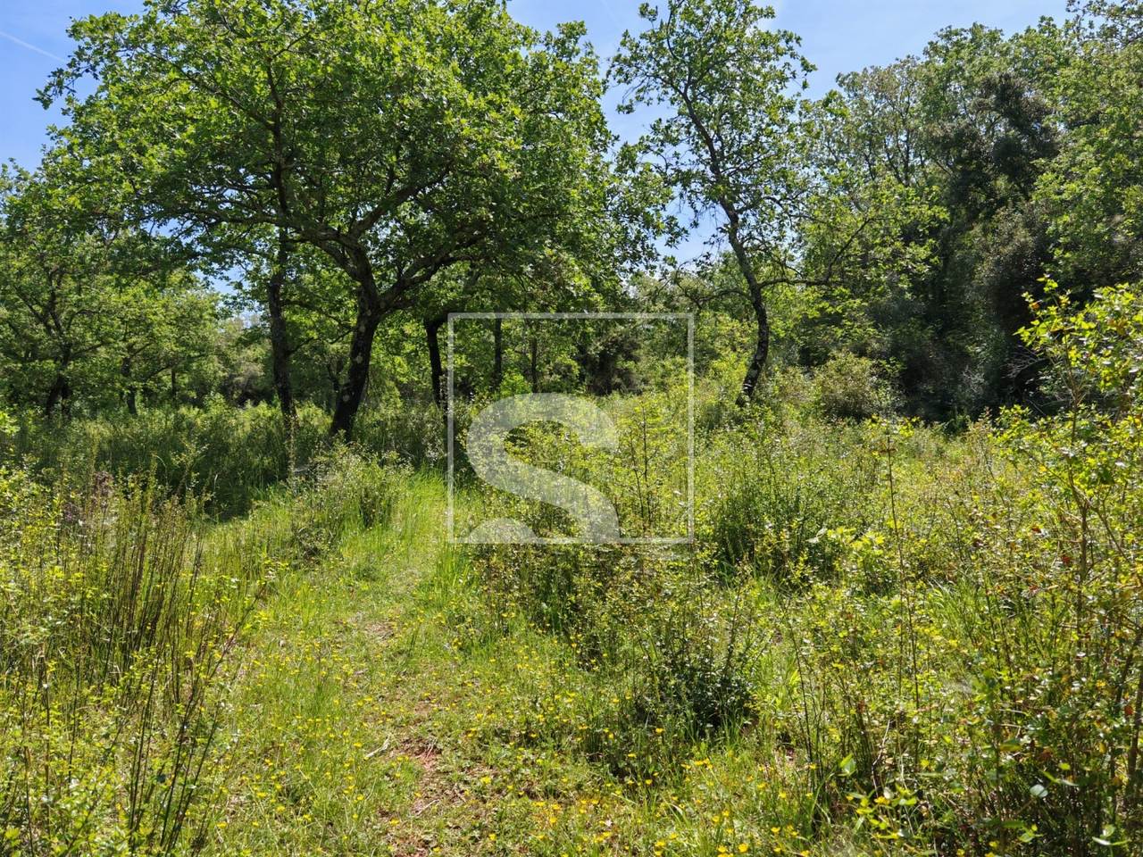 Grundstück u Vodnjanu, 3349m²