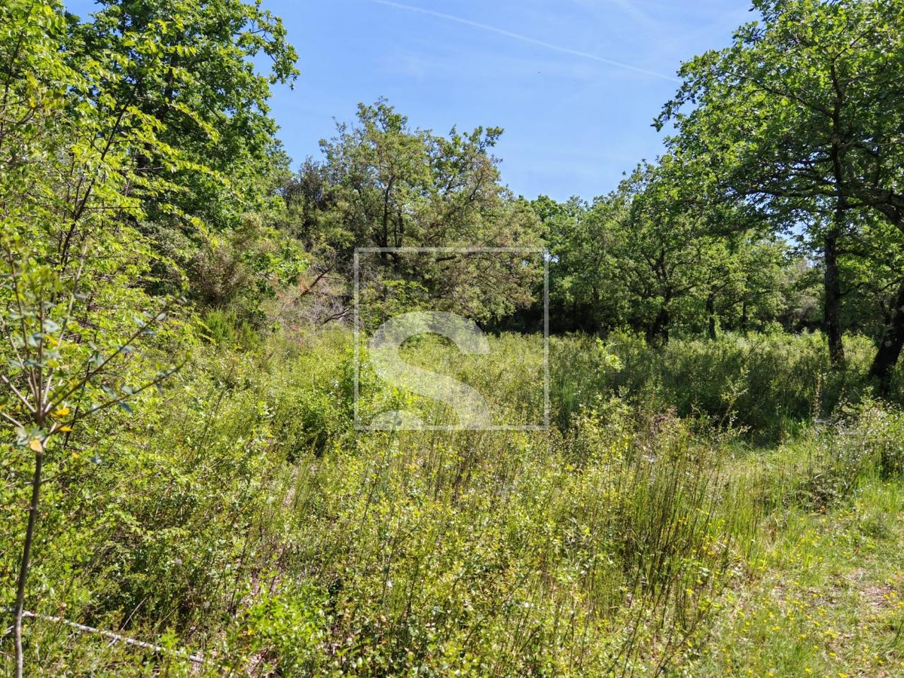 Grundstück u Vodnjanu, 3349m², slika 2