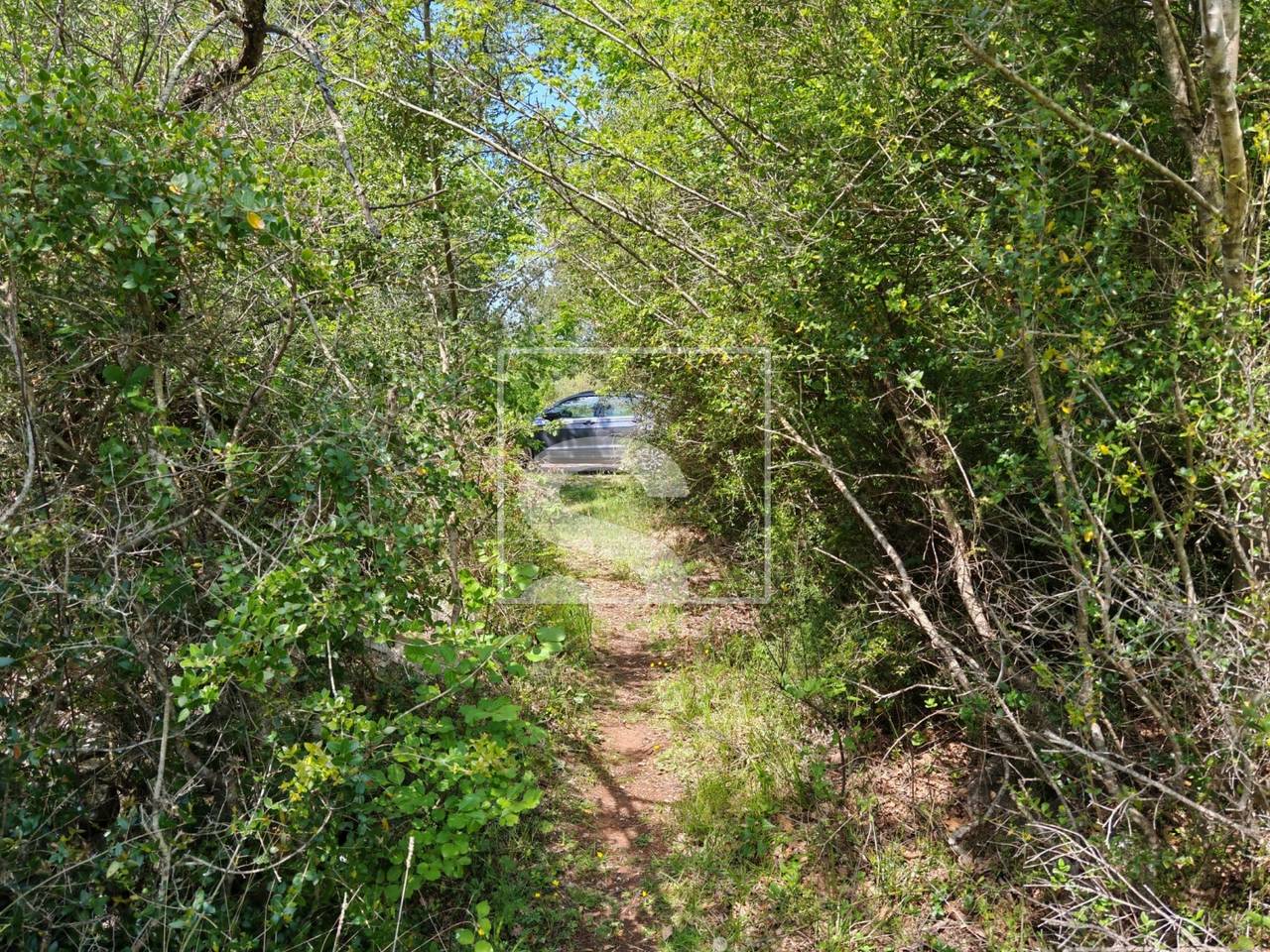 Grundstück u Vodnjanu, 3349m², slika 3